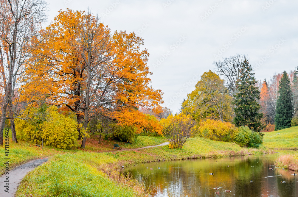 Landscape autumn landscape reflection of the forest in the lake