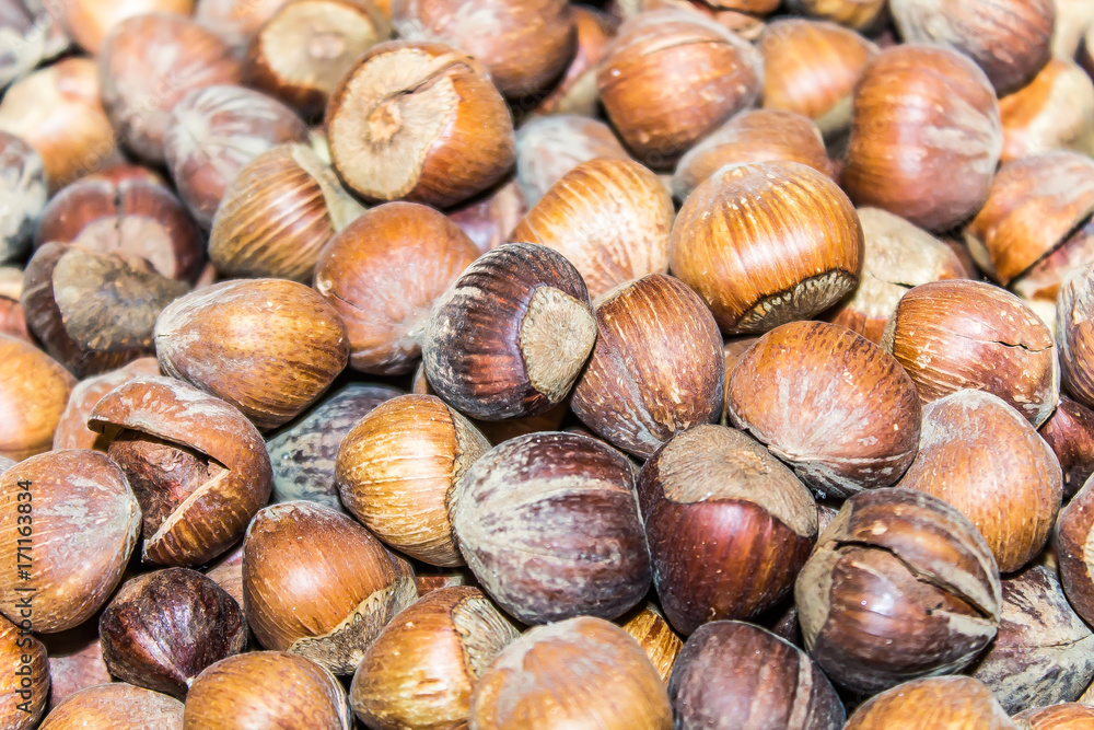 hazelnut as a background
hazelnut as a background
