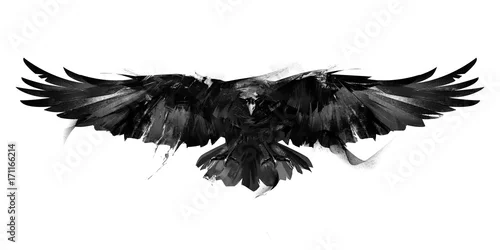 Naklejka na ścianę na białym tle czarno-biały ilustracja frontu latającego ptaka wrona