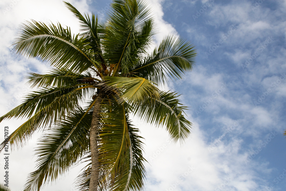 paradise caribbean islands paradise caribbean islands