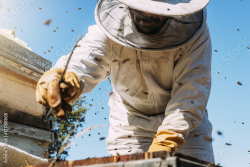 Beekeeper working collect honey.