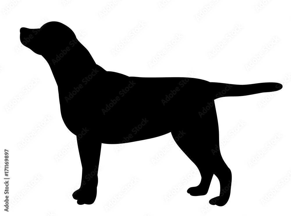 vector, isolated silhouette dog