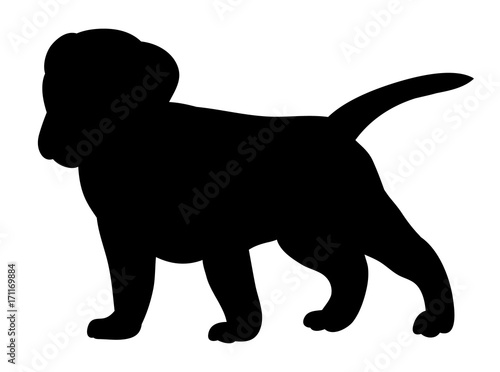 vector, isolated silhouette puppy