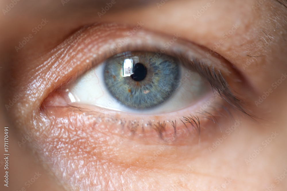 Macro image of beautiful woman eye