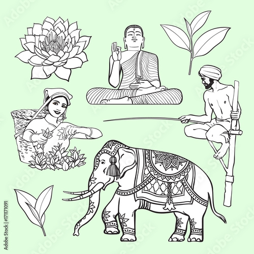 Sri Lanka country symbol set - water lily, Buddha statue, elephant, tea, stilt fishing, cartoon vector illustration isolated on white background. Set of hand drawn Sri Lanka cultural symbols