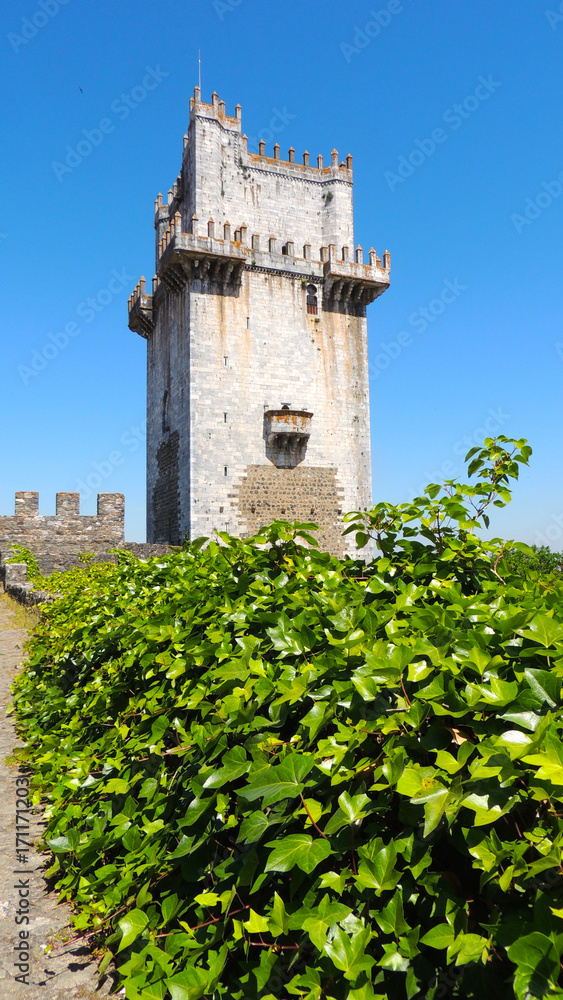 The Castle of Beja, a medieval castle in the Portuguese city of Beja, in the Alentejo region.