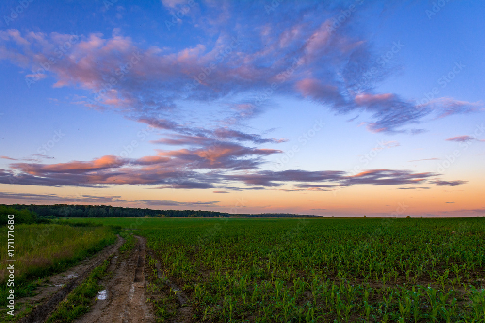 Colorful sunset sky over farm fields