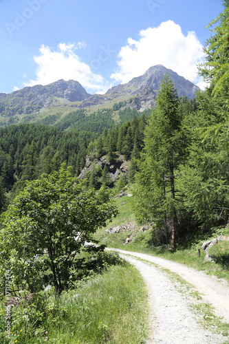 Stunning panorama of a mountain valley of the Alps in Italy