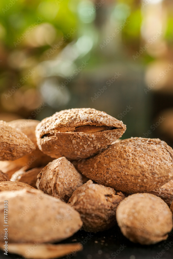 Almond in shell macro shot with kitchen stuff in the background, vertical Almond in shell macro shot with kitchen stuff in the background, vertical