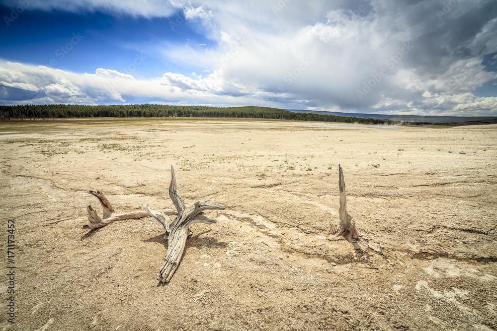 Barren land in Yellowstone National Park, USA