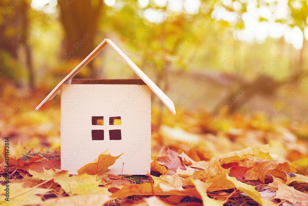 Fototapeta premium House from paper in bright yellow autumn leaves. Model of cardboard house. Concept of sale or purchase house