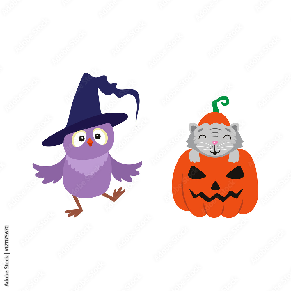 vector flat cartoon funny cute cat sitting at halloween scary pumpkin with gourd hat with stem on head, owl in witch hat set. Isolated illustration on a white background. Fancy animal concept vector flat cartoon funny cute cat sitting at halloween scary pumpkin with gourd hat with stem on head, owl in witch hat set. Isolated illustration on a white background. Fancy animal concept