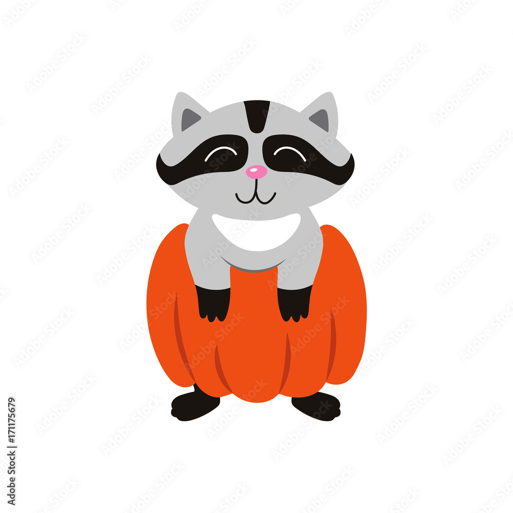 Obraz premium vector flat cartoon funny cute raccoon wearing big pumpkin smiling. Isolated illustration on a white background. Fancy Halloween outfit for an animal concept