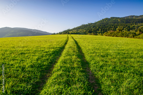 Straight road on a grassy field