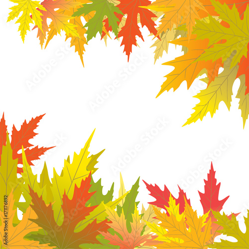 Colored leaves. Autumnal vector background. Frame. Border. Plant illustration.