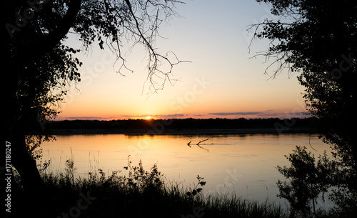 tree silhouette on the river on a sunset background