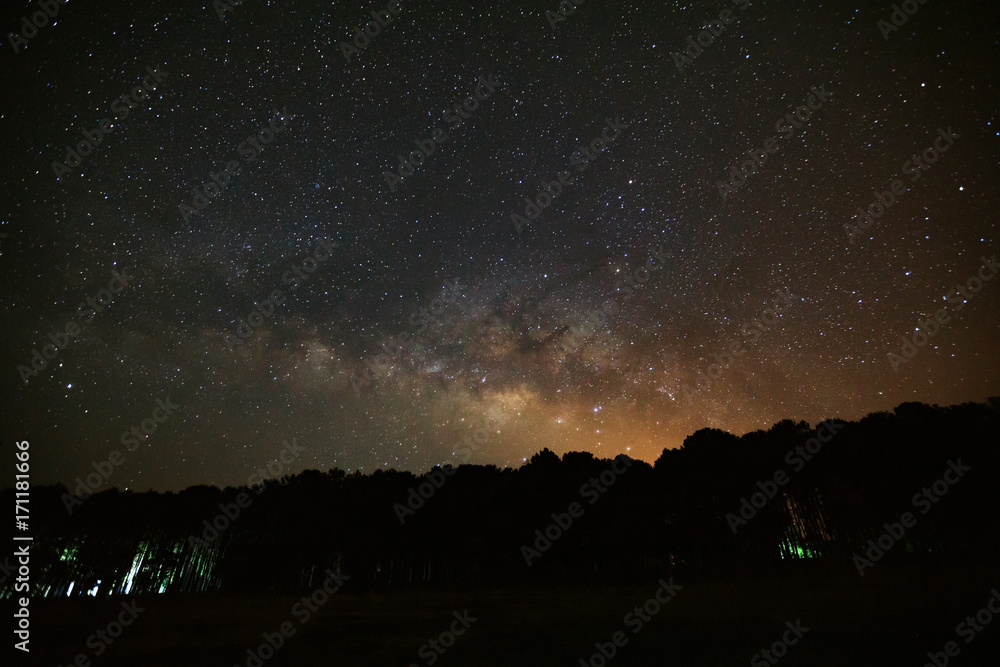 Beautiful milkyway galaxy and silhouette of pine tree on a night sky. Beautiful milkyway galaxy and silhouette of pine tree on a night sky.