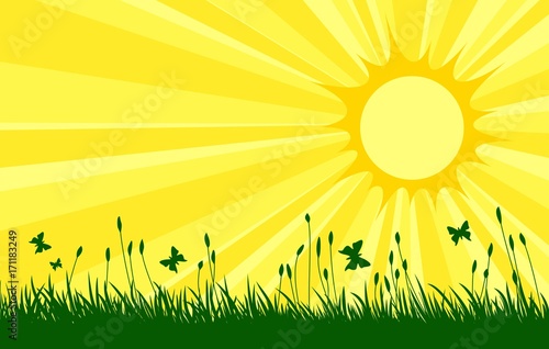 Meadow with sun. 