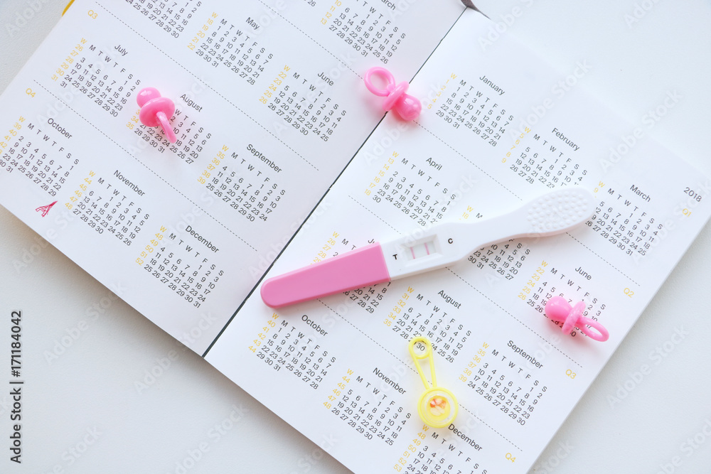 pregnant woman with pregnancy test watching calendar and calculating bith date