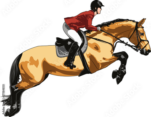 Horsewoman and a horse are jumping over an obstacle, are in mid-air.