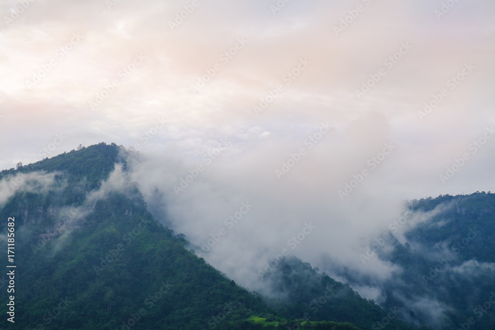 Mountain and mist / View of mountain and mist.