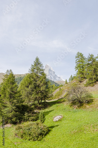 Zermatt  Alpen  Wallis  Walliser Berge  Matterhorn  zum See  Blatten  Furi  Zmutt  Wanderweg  Alm  Sommer  Schweiz