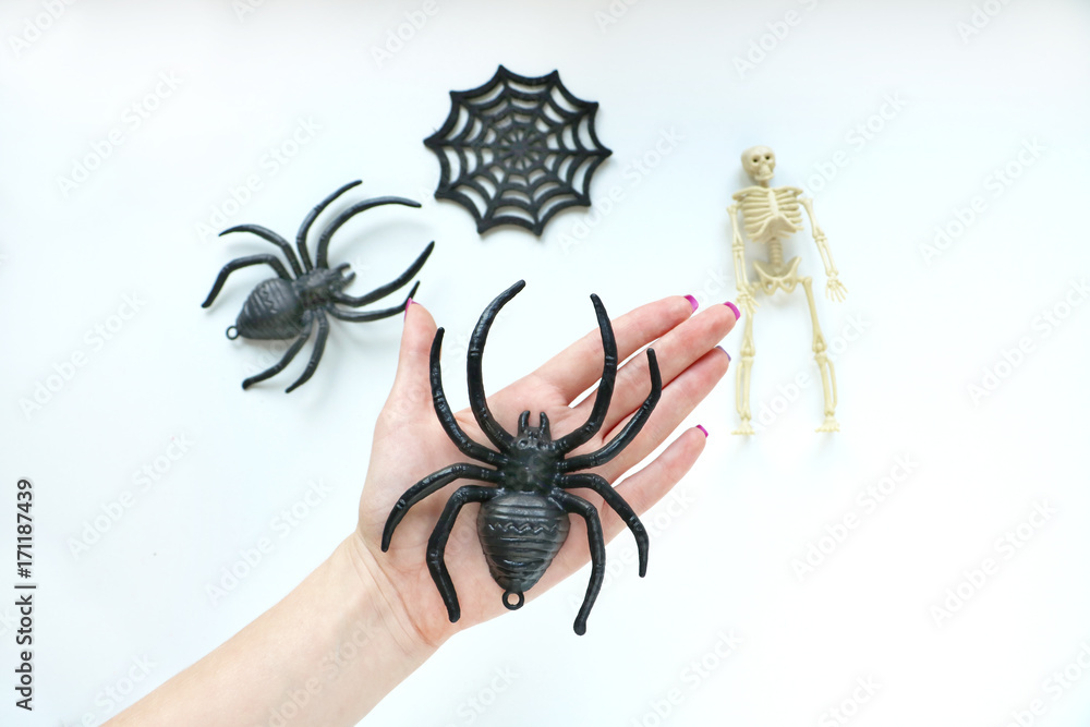 Obraz premium Preparating for halloween. Plastic toys of spiders and sceleton