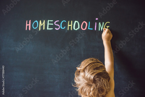 Принти на полотні Homeschooling