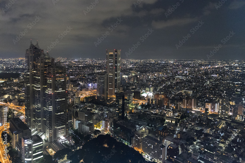 Obraz premium 東京の新宿からの夜景