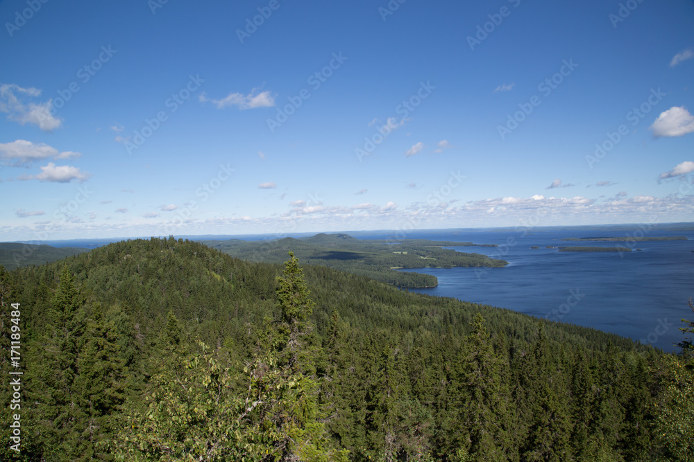 Forest and seascape on the mountain Koli, summer