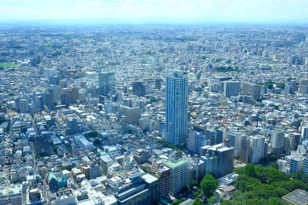 Fototapeta premium Błękitne niebo i pejzaż Tokio