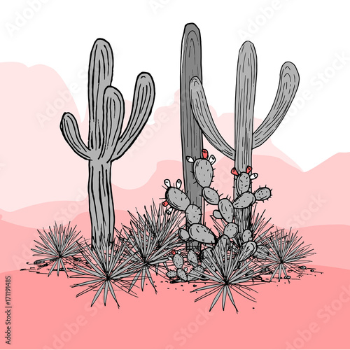 Cacti group. Prickly pear cactus, blue agaves, and saguaro. Mexico hand drawn card. Vector illustration. Stylish palette. Mountains background