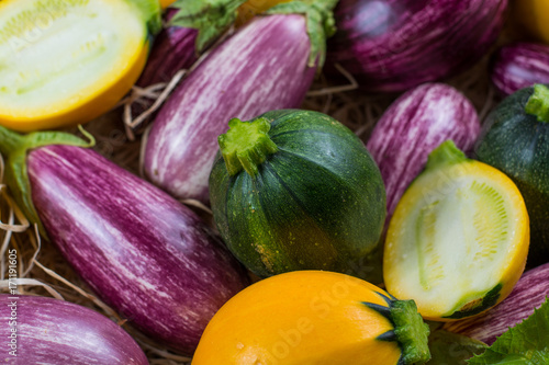 Wallpaper Mural Fresh organic vegetables background, wallpaper - round courgette, small eggplants, diet concept, Italian and French food, healthy food. Torontodigital.ca