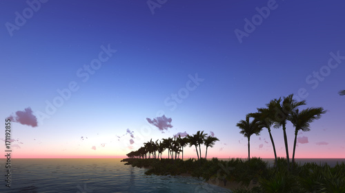 Tropical sunset with palm trees 3D render photo