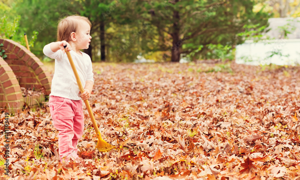Happy toddler girl raking leaves in autumn Happy toddler girl raking leaves in autumn
