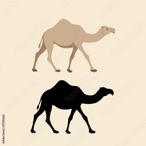 camel vector illustration style flat black silhouette