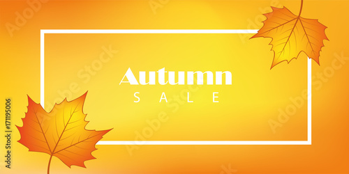 autumn sale background