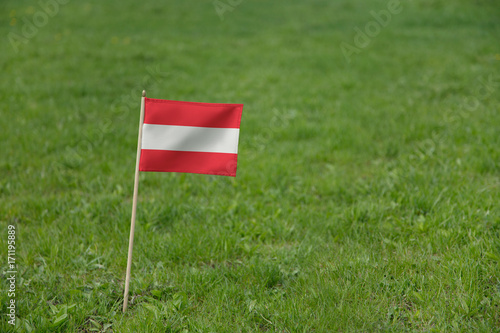 Austria flag. Austrian flag on a green grass field lawn background. National flag of Austria waving outdoors