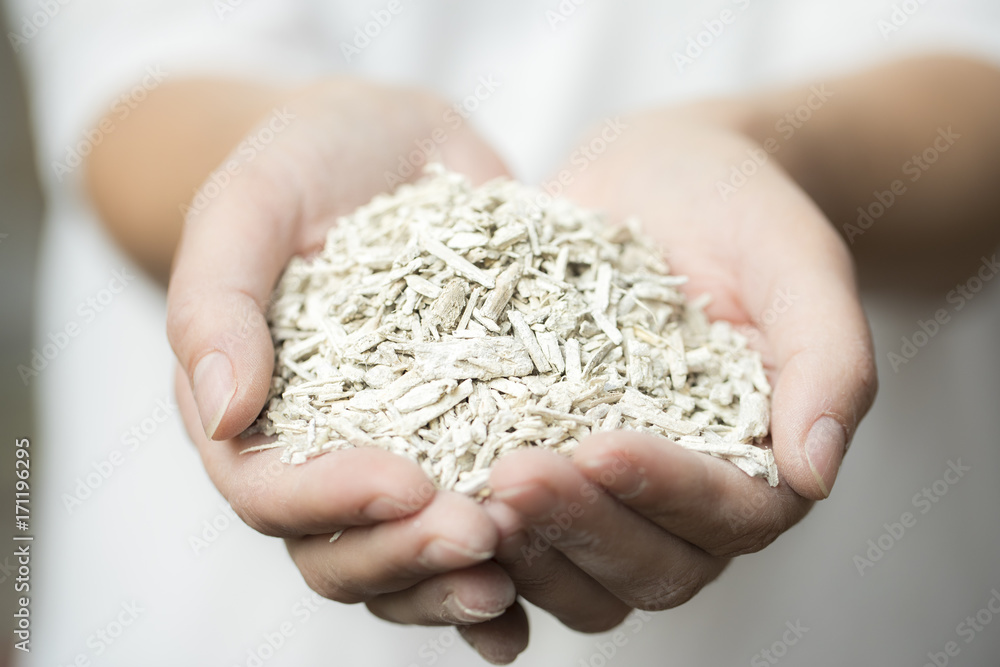 Hempcrete shreds in a female hand Hempcrete shreds in a female hand