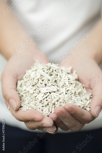 Hempcrete shreds in a female hand