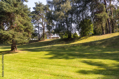 a forest park with large trees