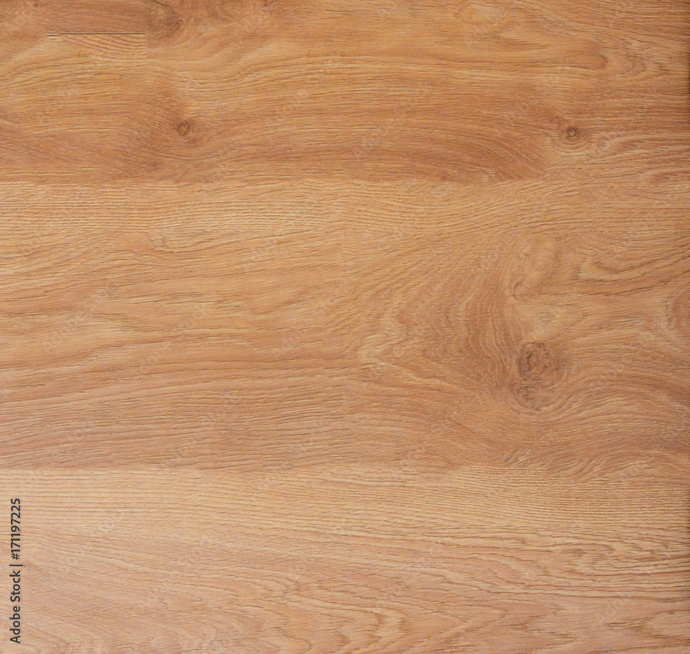 The texture of the wood. Paul. birch The texture of the wood. Paul. birch