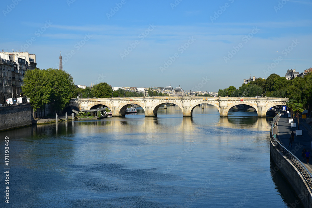 Naklejka premium Pont Neuf en été à Paris, France