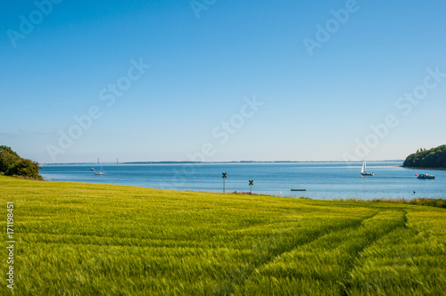 Danish coastal landscape photo