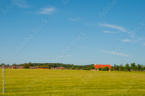 Danish agricultural landscape