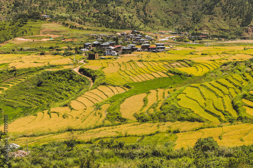 Bhutanese village and terraced field at Punakha, Bhutan
