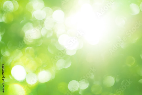 Beautiful abstract green white and light bokeh shine through the trees in the nature.