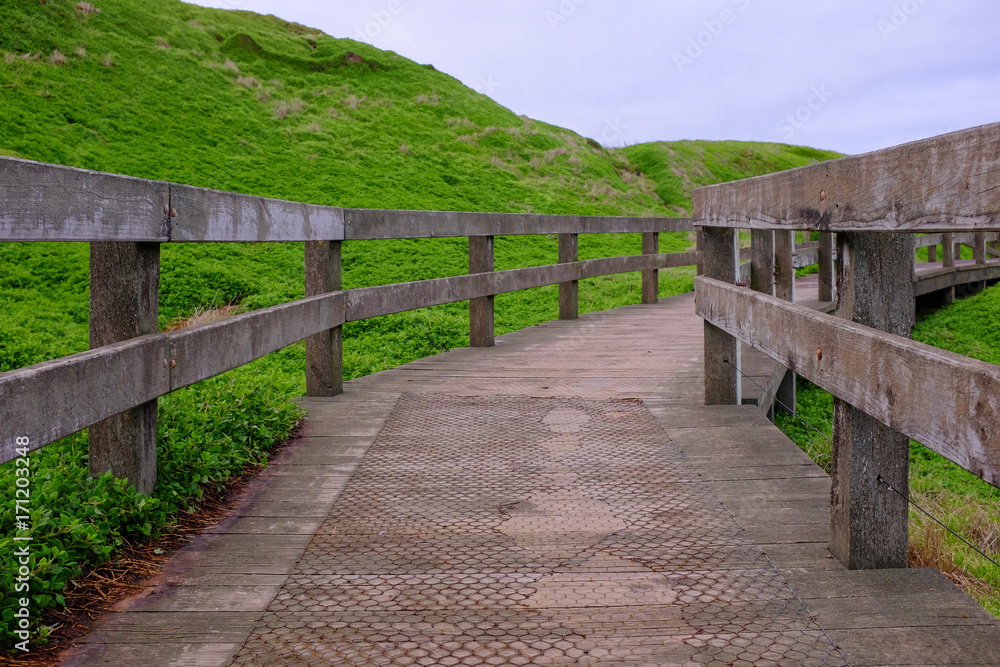 Walk way around the island at Phillip island beautiful green grass. Walk way around the island at Phillip island beautiful green grass.