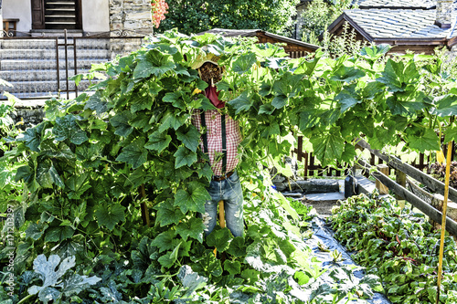 Courmayer, Monte Bianco, House, Tourist, Center, Scarecrow,.Courmayer; Valdaosta; Italy; Europa photo