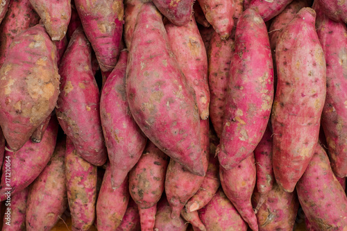 Group of Japanese sweet potatoes, Texture and background